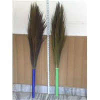 India broom grass broom