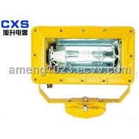 CBFC8100 Outfield Explosion-proof Strong Flood Light
