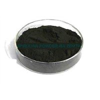 CHLORELLA