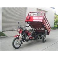 Cargo Tricycle