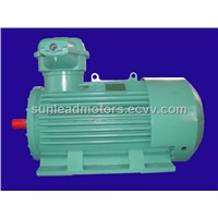Flame-Proof Three-Phase Induction Motor