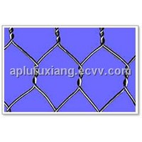 Hexagonal Wire Mesh