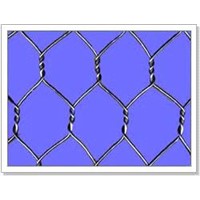 Hexagonal Wire Netting