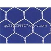 Hexagonal/ chicken wire mesh
