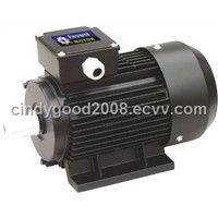 Y2 electrical motor
