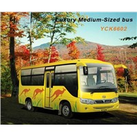 mini bus--YCK6602