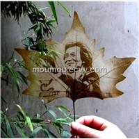 pressed leaf sculpture, framed leaf art sh0001