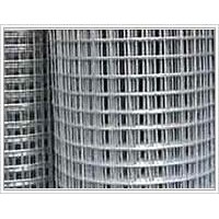 Galvanized Welded Wire Mesh