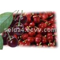 Supply Sour cherry Juice Concentrate