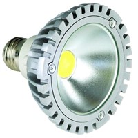 LED spotlight PAR30 10W