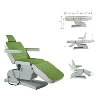 Luxury Electric Facial Chair