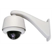 Network IP cameras