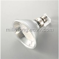 PAR38 SPOTLIGHT