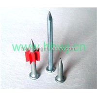 hardware,fastener,wire nail,coil nail,brad nail