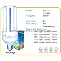 Stegayoung Forest Anion Product (Energy Saving)