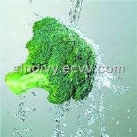 Broccoli Extract,Sulforaphane