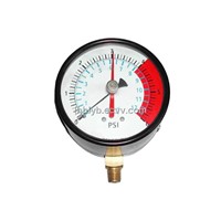 capsule pressure gauge (YW100TL1/4)