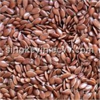 Flax Seed Extract / Flaxseed Ligans
