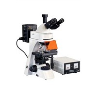 Flourescence Microscope (L3001)