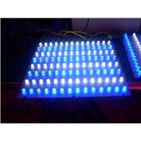 LED Aquariums Light (Blue &amp;amp; White Color) - CE Approved (NS-03)