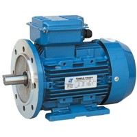 Single Phase Capacitor-Run Induction Motors