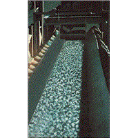 Oil Resistant Conveyor Belt (06)