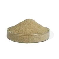 Sodium Alginate