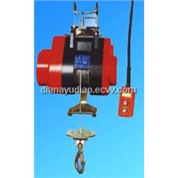 Suspending Mini Electric Hoist (HXS100F-250F)