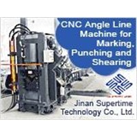 CNC Machine for Marking Punching & Shearing (jx2020)