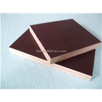 Film Faced Plywood