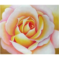 Flower Oil Paintings (HS3842)