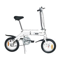 Folding Bicycle (TST1401AD)