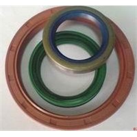 Oil Seals