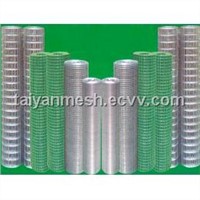 Welded Wire Mesh