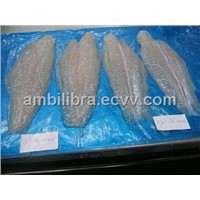 Frozen Pangasius Hypophthalmus (Basa, Catfish, Dory Fish, River Cobbler, Sushi Fish) from Vietnam