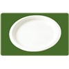 10 Inch Round Biodegradable Plate