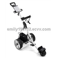 Amazing Electrical Golf Buggy(601D )