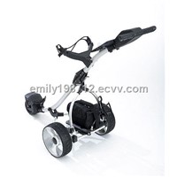 Amazing Electrical Golf Buggy (601T)