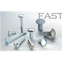 Carriage Bolts Series
