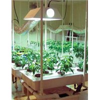 Grow Lighting Kits for Green House