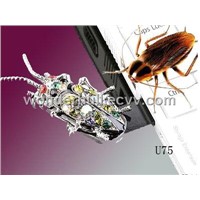 Insect US Flash Drive B