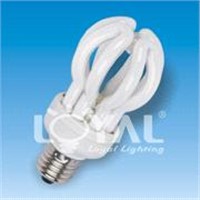 LOTUS CFL