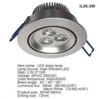 LED Down Light (IL06-3W)