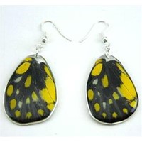 Real Butterfly Amber Jewelry--real nature