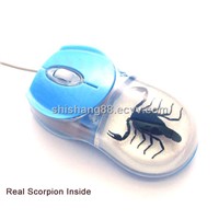 Real Insect USB Computer Mouse