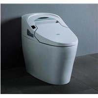Auto-Intelligent Toilet
