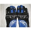 Motorcycle Accessories(Glove)