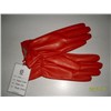 Fashion Lady Gloves
