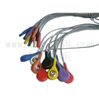 Holter 12-Lead Cable