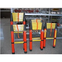 Insulated Extendable Ladder